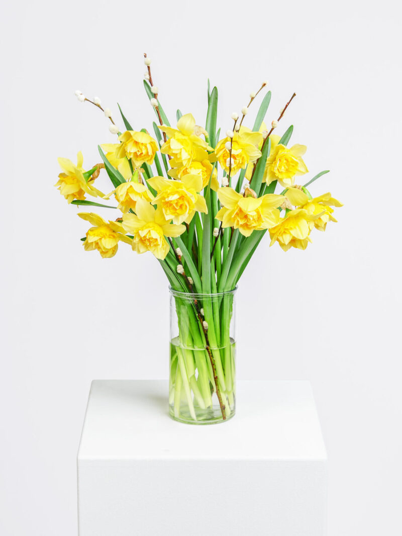 Happy Spring