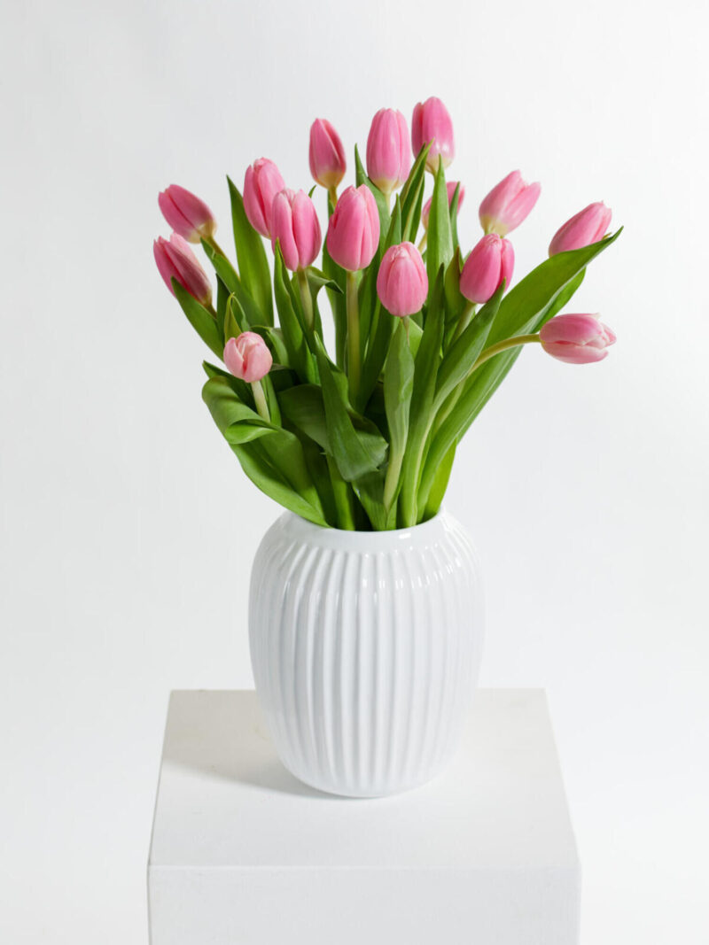 Pink Tulips